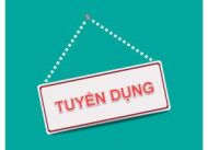 Công ty CP Tập đoàn xây dựng Hòa Bình tuyển dụng nhân sự