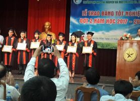 Tốt nghiệp